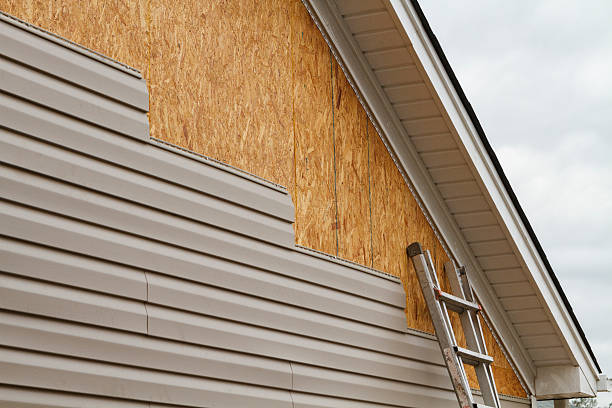 Professional Siding Inspection technician working in Bothell, WA